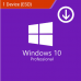 Microsoft Windows 10 Professional Lifetime (ESD)